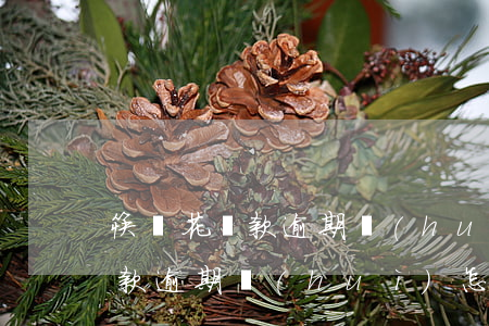 筷叻花貸款逾期會(huì)怎樣(筷叻花貸款逾期會(huì)怎樣)