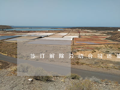 签订解除劳动合同,还能起诉公司吗？