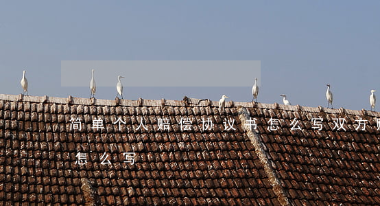 简单个人赔偿协议书怎么写(双方赔偿协议书怎么写)