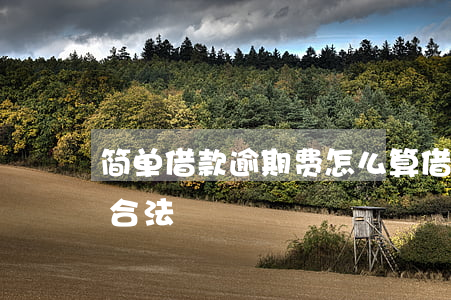 简单借款逾期费怎么算(借款逾期费最高多少合法)
