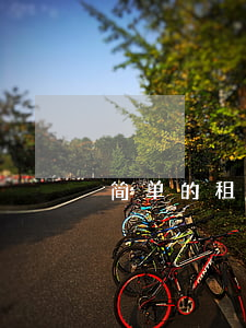 简单的租房合同范本(租房合同范本简单版)