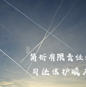 简析有限责任公司股权代持纠纷中各主体之司法保护顺序