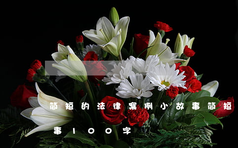 简短的法律案例小故事(简短的法律案例小故事100字)