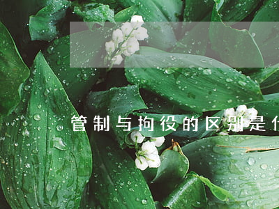 管制与拘役的区别是什么（拘役与拘留的区别）