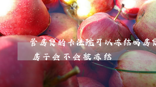 管房贷的卡法院可以冻结吗(房贷卡被冻结了,房子会不会被冻结)
