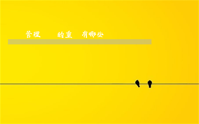 管理審計的重點有哪些