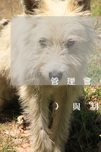管理會(huì)計(jì)法規(guī)與制度