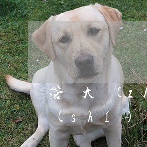 管轄大戰(zhàn)！最高法：合同約定與實(shí)際簽訂地點(diǎn)不符，如何處理?(答案來(lái)了)