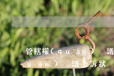 管轄權(quán)異議上訴狀(管轄權(quán)異議上訴狀)