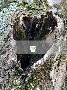 管轄權(quán)異議申請書