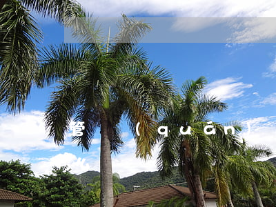管轄權(quán)異議的條件和程序是什么