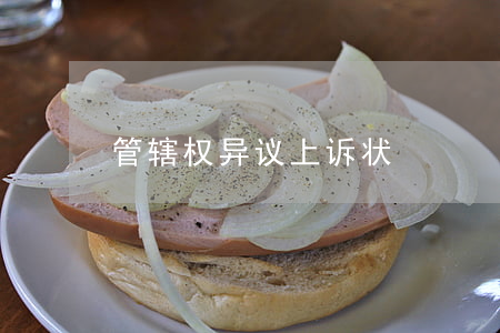 管辖权异议上诉状