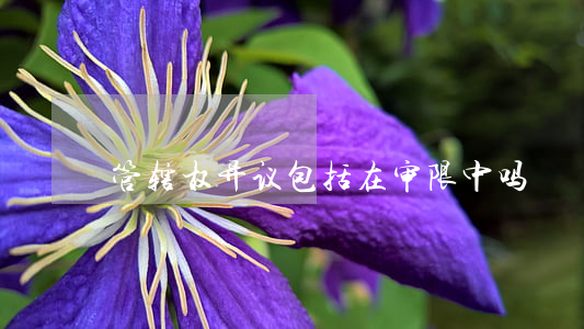 管辖权异议包括在审限中吗