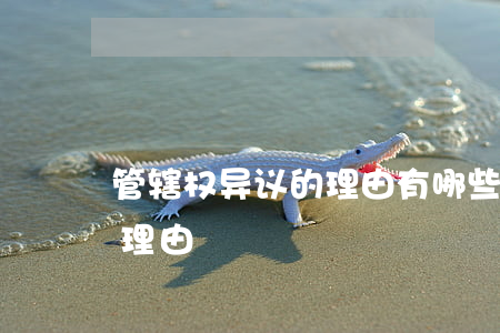 管辖权异议的理由有哪些（管辖权异议的主体理由）
