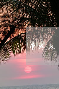 管辖权异议裁定后能撤销吗