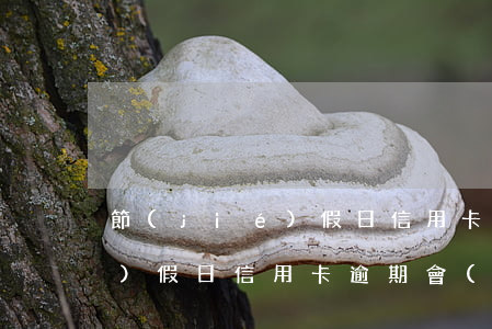 節(jié)假日信用卡逾期-節(jié)假日信用卡逾期會(huì)上征信嗎
