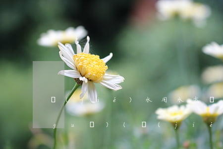 節(jié)水用水方針政策和法律法規(guī)(節(jié)約用水的相關(guān)政策法規(guī)有哪些)