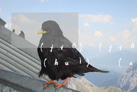 節(jié)節(jié)高賬戶逾期未取會(huì)繼續(xù)計(jì)息嗎-節(jié)節(jié)高到期后要多久才能自動(dòng)轉(zhuǎn)入余額
