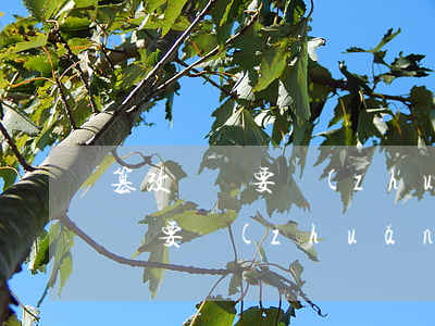 篡改遺囑要轉(zhuǎn)繼承嗎(篡改遺囑要轉(zhuǎn)繼承嗎)