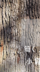 簡(jiǎn)單借款逾期半個(gè)月(小貸逾期一個(gè)月)