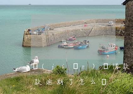 簡(jiǎn)單借款逾期如何還款(借的貸款逾期了怎么辦)