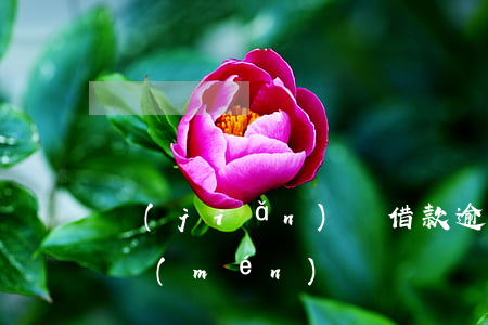 簡(jiǎn)單借款逾期會(huì)上門(mén)嗎