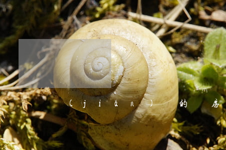 簡(jiǎn)單的廠房租賃合同