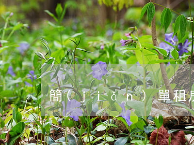 簡(jiǎn)單租房合同