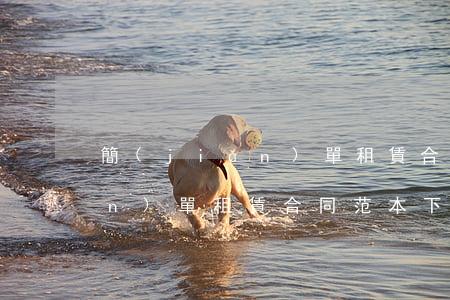 簡(jiǎn)單租賃合同范本(簡(jiǎn)單租賃合同范本下載免費(fèi))