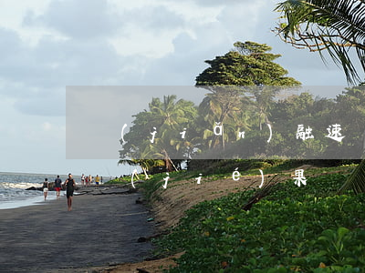 簡(jiǎn)融速貸逾期 輕易貸最新處理結(jié)果