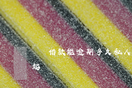 簡單借款能逾期多久(私人借款逾期多久可以起訴)