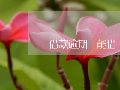 簡單借款逾期還能借嗎(逾期了還可以借錢嗎)