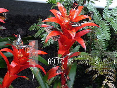 簡單的房屋轉(zhuǎn)租協(xié)議書