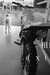 簡單租房協(xié)議書范本(個人租房協(xié)議書合同模板)