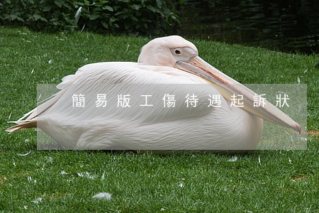 簡易版工傷待遇起訴狀