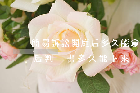 簡易訴訟開庭后多久能拿判書(簡易法庭開庭后判決書多久能下來)
