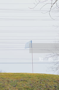 簡短的法律案例小故事