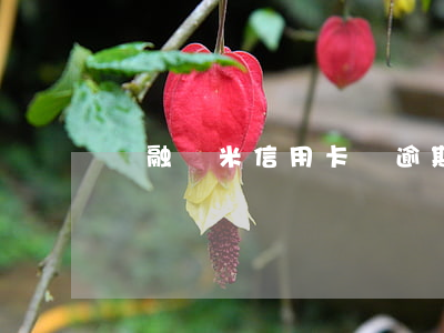 簡融錢米信用卡貸逾期