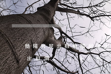 簡陽房屋出租(簡陽房屋出租房源_簡陽房屋出租價(jià)格)