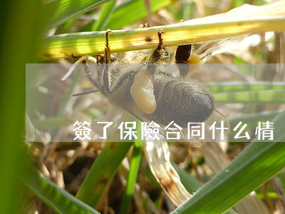 簽了保險合同什么情況可以解除