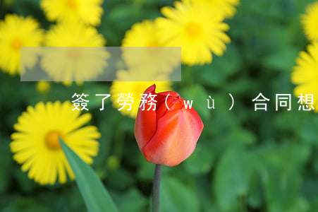 簽了勞務(wù)合同想辭職怎么辦
