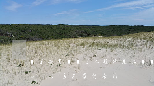 簽了合同違約了不履行怎么辦(簽合同對(duì)方不履行合同)