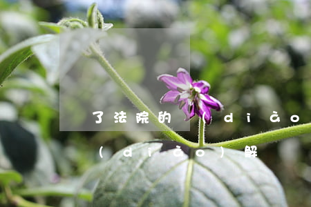 簽了法院的調(diào)解書可以起訴嗎(調(diào)解書雙方簽字后還可以起訴嗎)