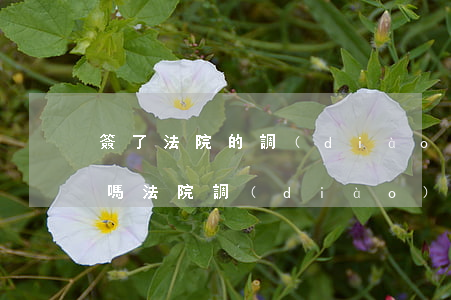 簽了法院的調(diào)解筆錄可以反悔嗎(法院調(diào)解筆錄簽字的后果)