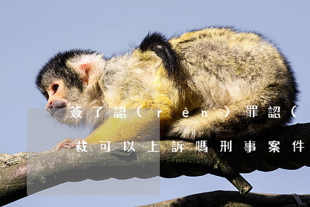 簽了認(rèn)罪認(rèn)罰法院速裁可以上訴嗎(刑事案件簽了認(rèn)罪認(rèn)罰可以上訴嗎)