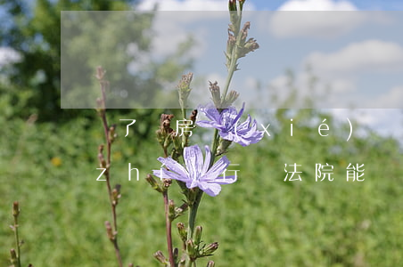 簽了買房協(xié)議法院可以強制執(zhí)行嗎(法院能強制執(zhí)行網(wǎng)簽購房合同房產嗎)