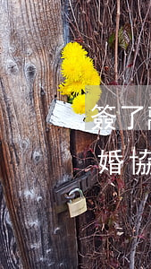 簽了離婚協(xié)議書算離婚嗎(有了離婚協(xié)議書,可以算離婚嗎)