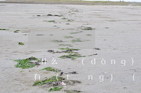 簽什么勞動(dòng)合同會(huì)有風(fēng)險(xiǎn)