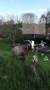 簽合同糾紛如何處理(合同發(fā)生糾紛怎么辦)