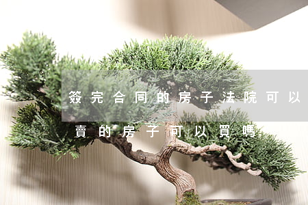 簽完合同的房子法院可以拍賣嗎(法院公開拍賣的房子可以買嗎)